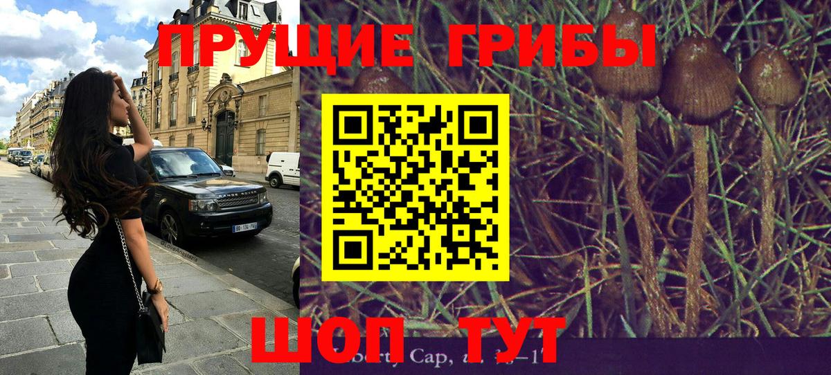 Псилоцибиновые грибы мицелий Серов