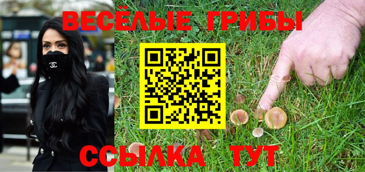 Галлюциногенные грибы ЛСД  Вход с VPN  Серов 